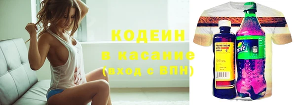 тгк Няндома