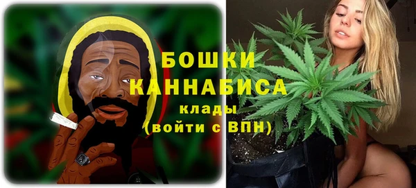 тгк Няндома