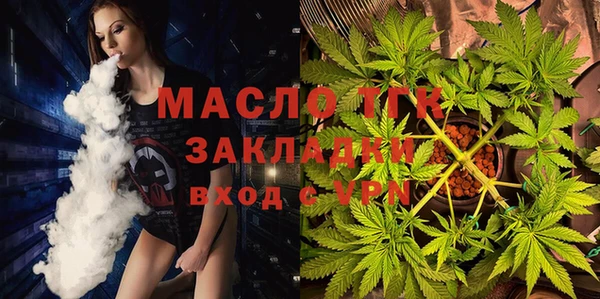 тгк Няндома