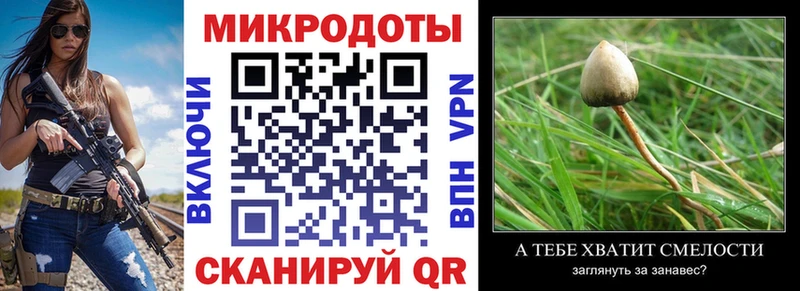 Купить где  Ростов-на-Дону  Псилоцибиновые грибы мухоморы 